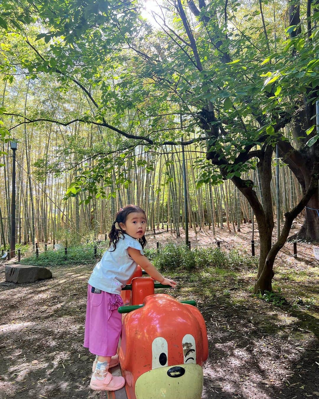 来夏さんのインスタグラム写真 - (来夏Instagram)「#🎏 最近の娘さん👧 園のあとに毎日公園はしご⛲️  体力凄まじい、母のがへとへと〜🫠  健やかに、エンジョイッ🦋  #こどもの日」5月5日 15時13分 - rairairaika