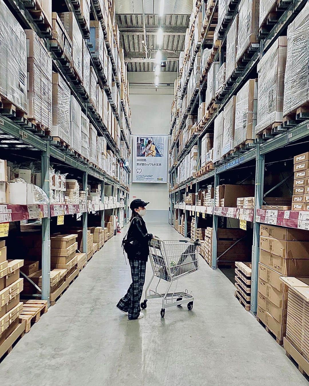 山崎桃子さんのインスタグラム写真 - (山崎桃子Instagram)「IKEAで植物買った日🪴 #観葉植物初心者  #育ててみます」5月5日 15時52分 - momochan0910