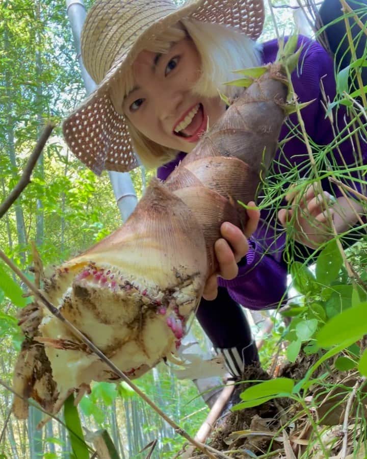 アオイヤマダのインスタグラム：「【竹の子掘り】 身体をそのままにして思考する時間と 外的刺激をもとめて飛び出したくなる気持ちが、連休の中央道のよう。な、春。 渋滞にはまる。 車のタイヤを替えた、はじめて。 竹の若い子と戯れる、 祖母のお尻が、遠くで見える。  「渋滞の先頭は抜けました、速やかに速度回復願います。」 私の回想を遮り、SF映画のような機械の声がトンネルに響き渡る。  私が採った竹の子は、竹になることを知らずトランクにいる。  Safe drive.」