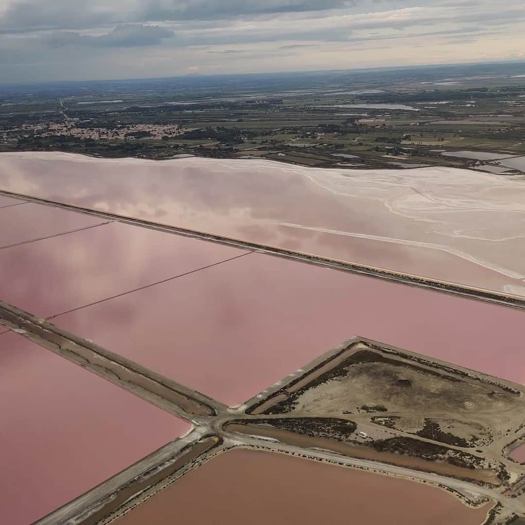 ラボッテガーディアンのインスタグラム：「La Camargue vu du ciel  Sur la deuxième et la troisième photos, vous pourrez voir un rassemblement de centaines de 🦩🦩🦩 en pleine nidation, à l'abri des regards et des hommes, au milieu des salins.  #camargue #salin #aiguesmortes #visitoccitanie #occitanietourisme」