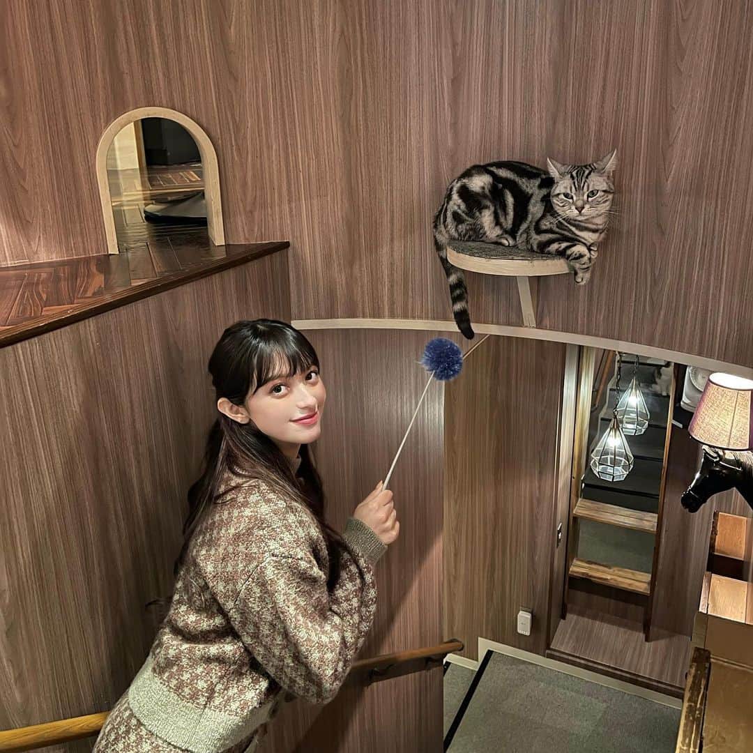 エブラヒミ椎菜さんのインスタグラム写真 - (エブラヒミ椎菜Instagram)「・ 猫カフェ〜🐈🐾 みんな可愛すぎて幸せだった〜！！ @catcafemocha  @mocha.shibuya   #猫カフェmocha #猫カフェ #pr #渋谷猫カフェ #渋谷カフェ #カフェ #渋谷 #猫 #ねこ #ねこすたぐらむ #cats #cat #catstagram #猫カフェモカ #カフェ巡り #猫部」5月5日 16時35分 - sheena.621