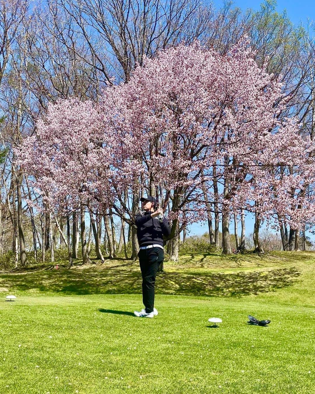 福本義久のインスタグラム：「【桜×ゴルフ】  #ゴルフ #golf #北海道ゴルフ #北海道 #桜 #花見 #UHB #アナウンサー #福本義久」