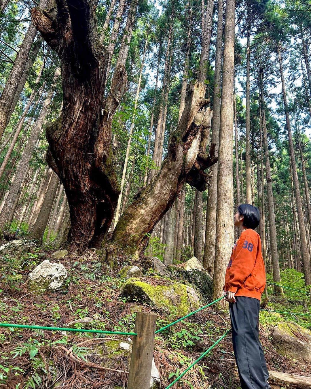 太田唯さんのインスタグラム写真 - (太田唯Instagram)「🤝🌎 先日、岐阜県で訪れた場所たち。 自然は奇跡の連続だなとあらためて ✌︎  . #nature #beautifulplaces #japan  #岐阜県 #モネの池 #21世紀の森公園」5月5日 16時44分 - yuiohta.official