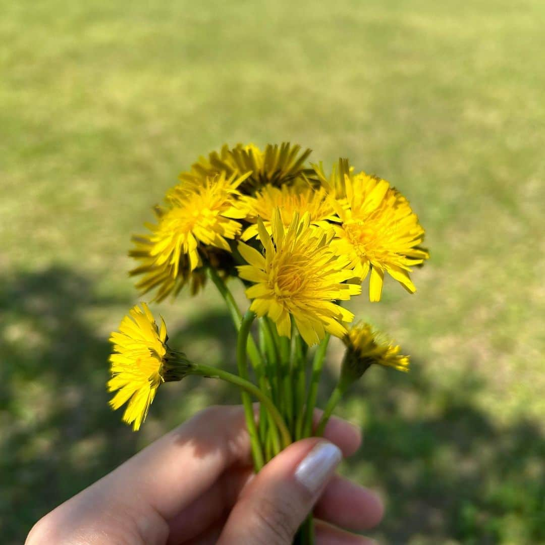 高須みほのインスタグラム：「🌱」