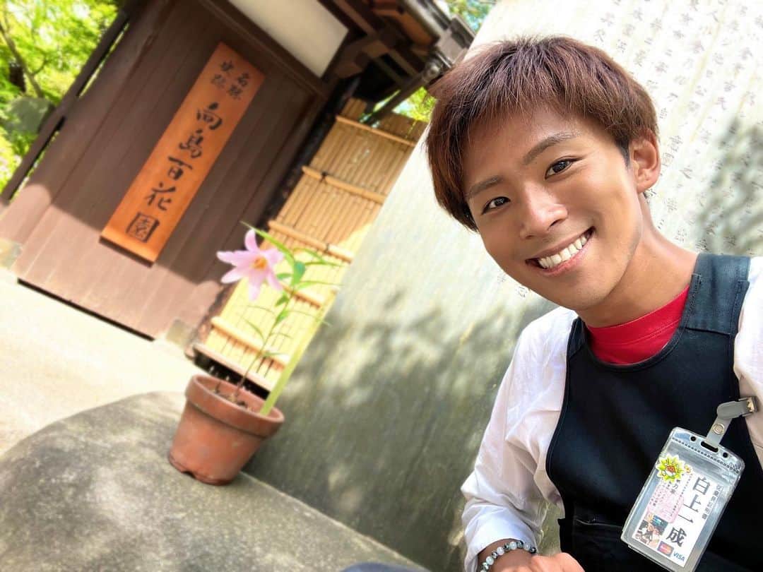 白上一成さんのインスタグラム写真 - (白上一成Instagram)「5月かりんとう力車出勤予定日👶🏾🗓  24日(水)× ーーーーーーーーーーーーーーーーー 31日(水)×  ⚠️ユニット活動で急な出勤予定の変更がある場合があります。 尚、出勤予定記載のものが相違がある場合がありますので予めご了承ください🙇‍♂️  シフト上で人力車で１週間を過ぎたご予約、またご不明点などは（090-2442-9082)に平日12:00〜17:00にご連絡頂きご相談くださいませ。電話が繋がらない場合は、追って折り返しご連絡させて頂きます。  人力車の予約方法はプロフィール欄をチェックしてねっ✅  #東京力車 #浅草 #人力車 #人力車のお兄さん」5月5日 17時42分 - karintou.5