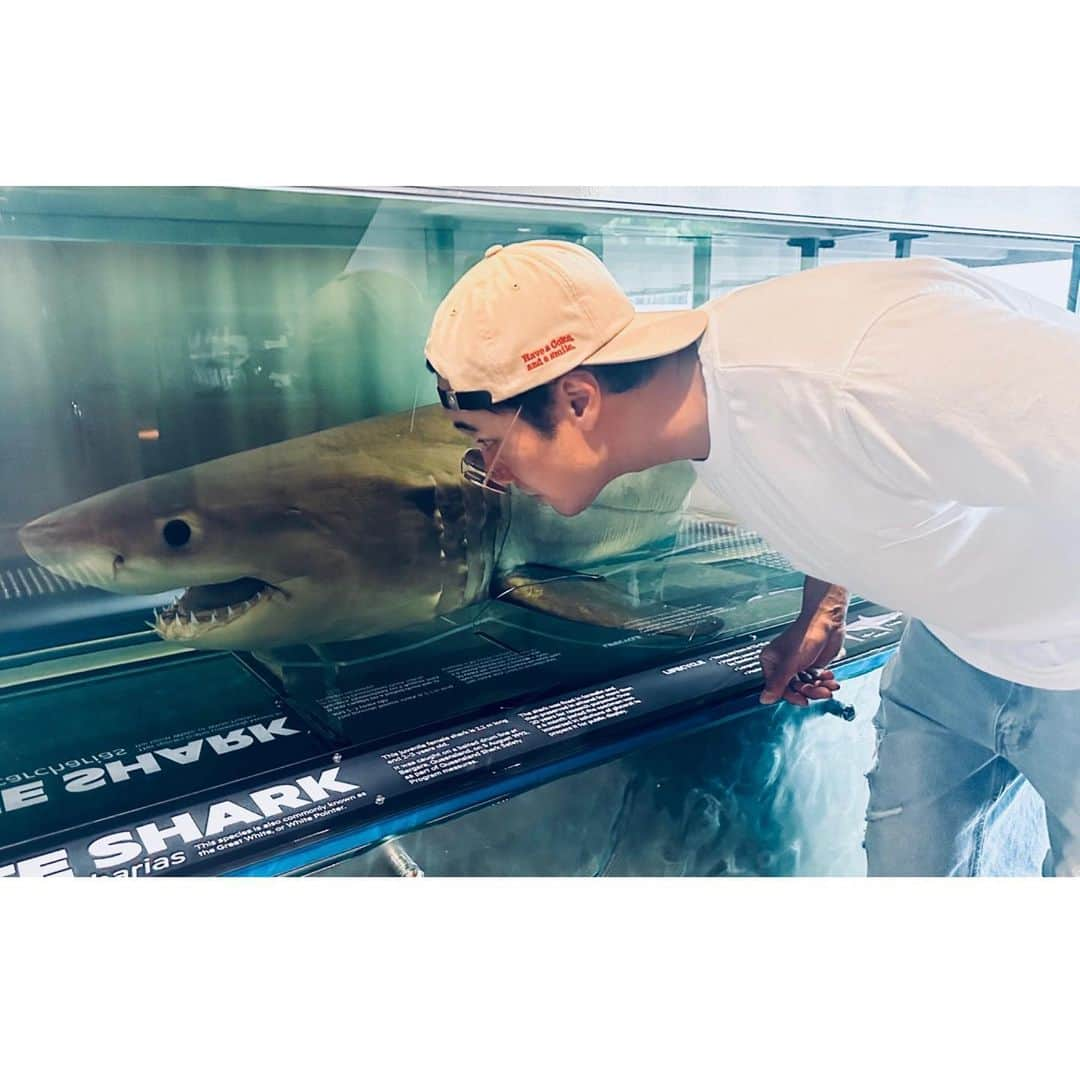 ソ・ジソブさんのインスタグラム写真 - (ソ・ジソブInstagram)「🦖 vs 🦈 😱어린이」5月5日 17時51分 - soganzi_51