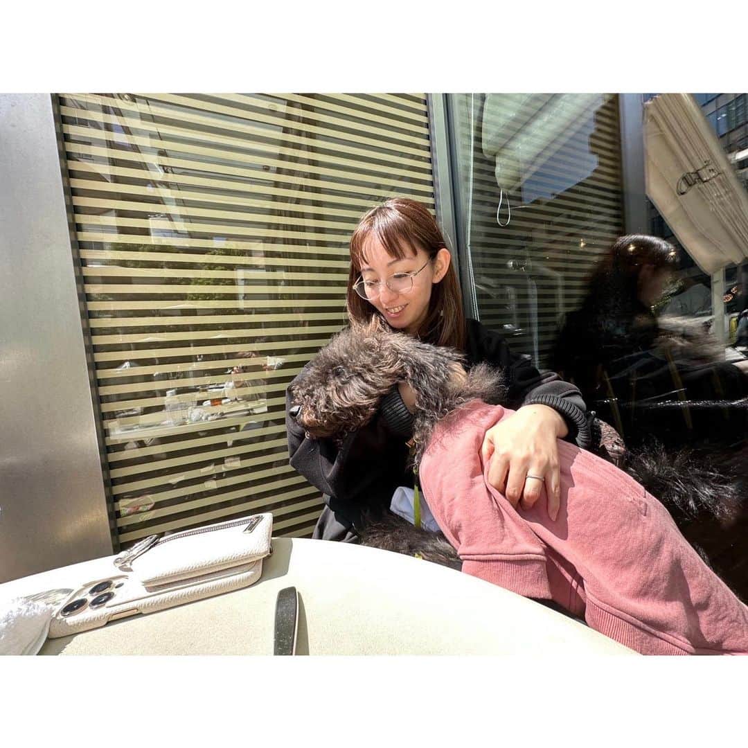 咲希あかねさんのインスタグラム写真 - (咲希あかねInstagram)「5月5日　子供の日🎏 鯉のぼりたくさん！  ろいちゃんカフェデビュー❤️ 意外とおとなしくしてました😌 いいこー♪  #呂色 #ロイロ  #ミックス犬 #ラブラドゥードル」5月5日 17時59分 - akane_saki