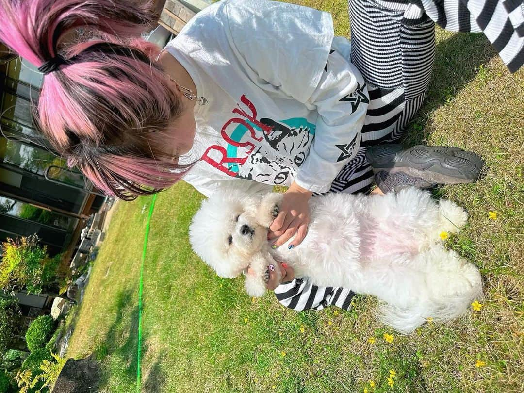 LiSAさんのインスタグラム写真 - (LiSAInstagram)「5/5 ころもの日🎏🐶」5月5日 18時04分 - xlisa_olivex