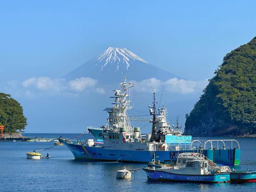 JAPANのインスタグラム：「Izu City」