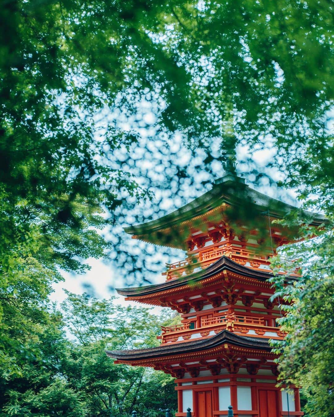 のインスタグラム：「Koyasu tower l 子安塔　新緑」
