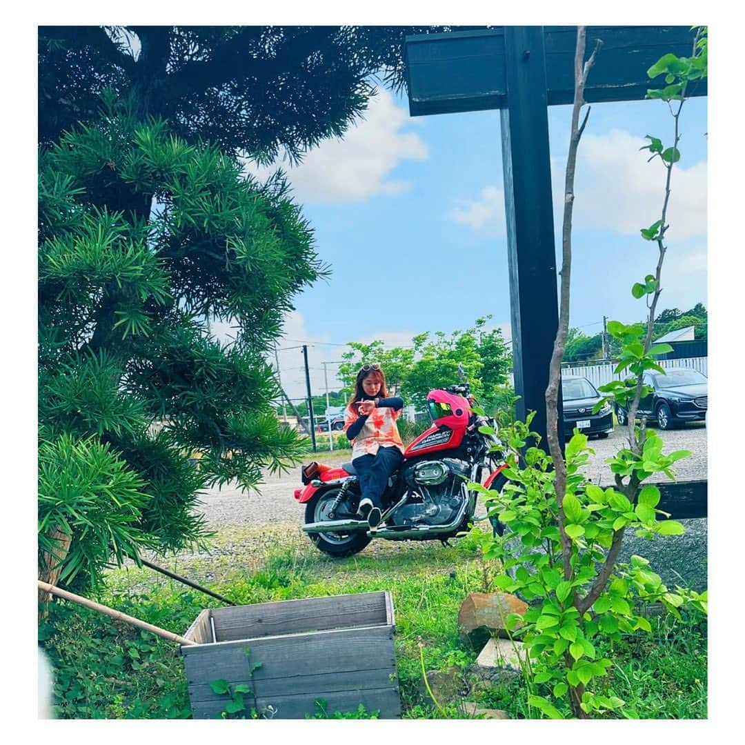 白石茉莉奈さんのインスタグラム写真 - (白石茉莉奈Instagram)「🏍🫶🧡🍊✴️🟠  #gw #harleydavidson #xl883l #883」5月5日 20時23分 - marina_shiraishi_official