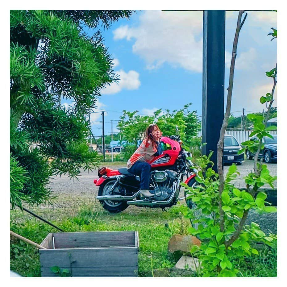 白石茉莉奈のインスタグラム：「🏍🫶🧡🍊✴️🟠  #gw #harleydavidson #xl883l #883」