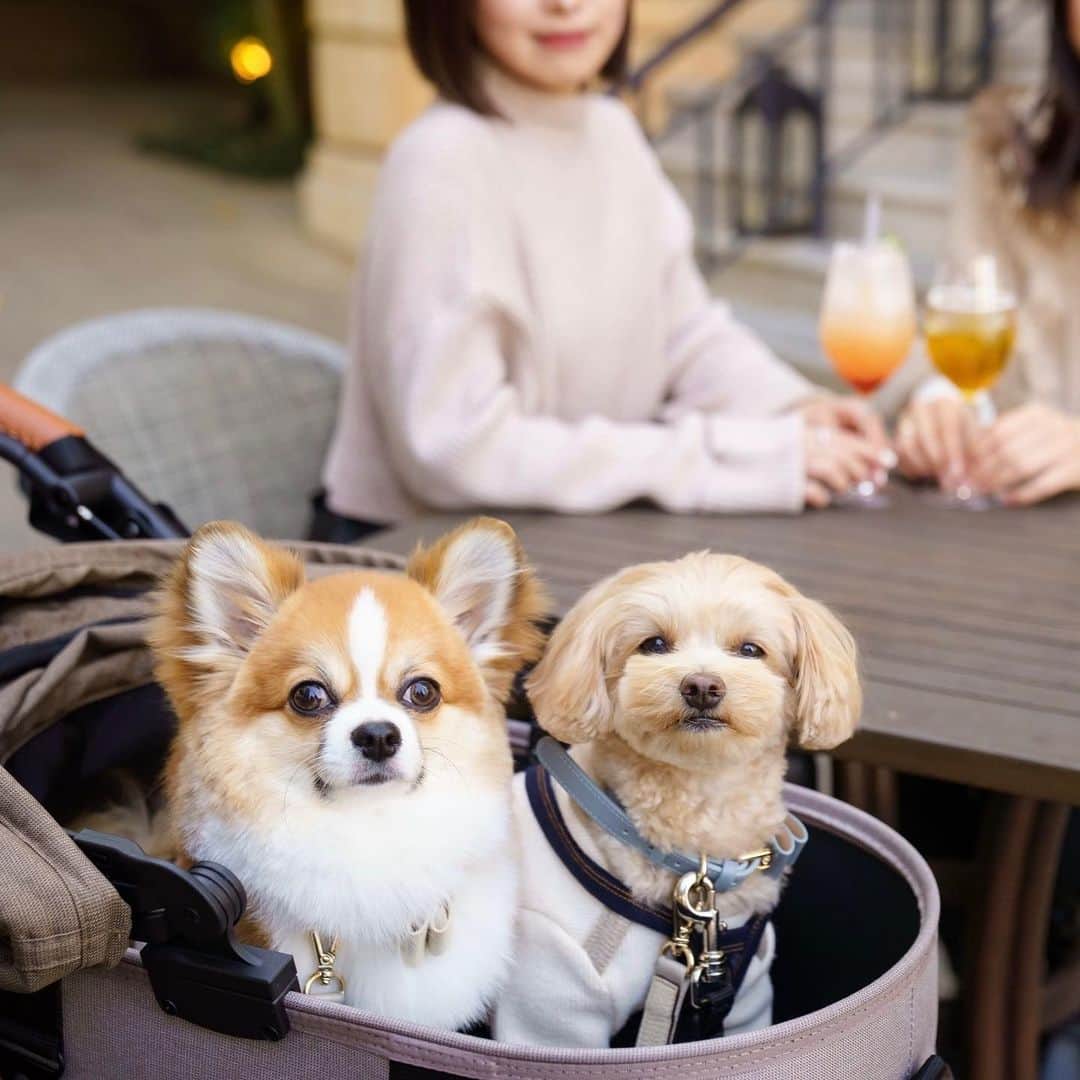 FORTUNE GARDEN KYOTOのグルメインスタ