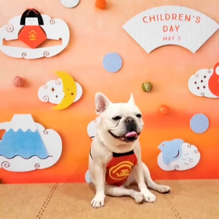 gracocoro Ryoko ONLINE SHOP＜グラこころ＞のインスタグラム
