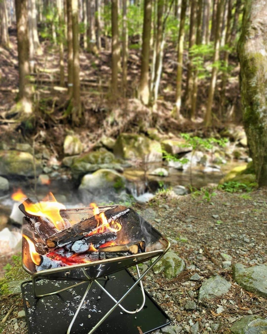 山下由奈さんのインスタグラム写真 - (山下由奈Instagram)「ゴールデンウィークの思い出🏕  大自然を思いっきり楽しんできました💚 あえて険しい道を選んで、サバイバル遊び出来たのも最高。笑 こうやって思いっきり遊べる友達がそばにいてくれて幸せ者です♡ ありがとう💚 @ayano.ohta ♡  👶は森の妖精と会話してた☺️ #癒しの渋滞  #キャンプ#キャンプ初心者#🏕 #自然#サバイバル#👶#🫰」5月5日 20時56分 - yamashitayuna