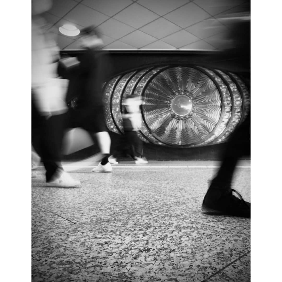Halのインスタグラム