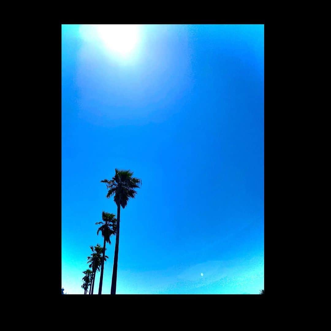 橋本淳のインスタグラム：「🌴」