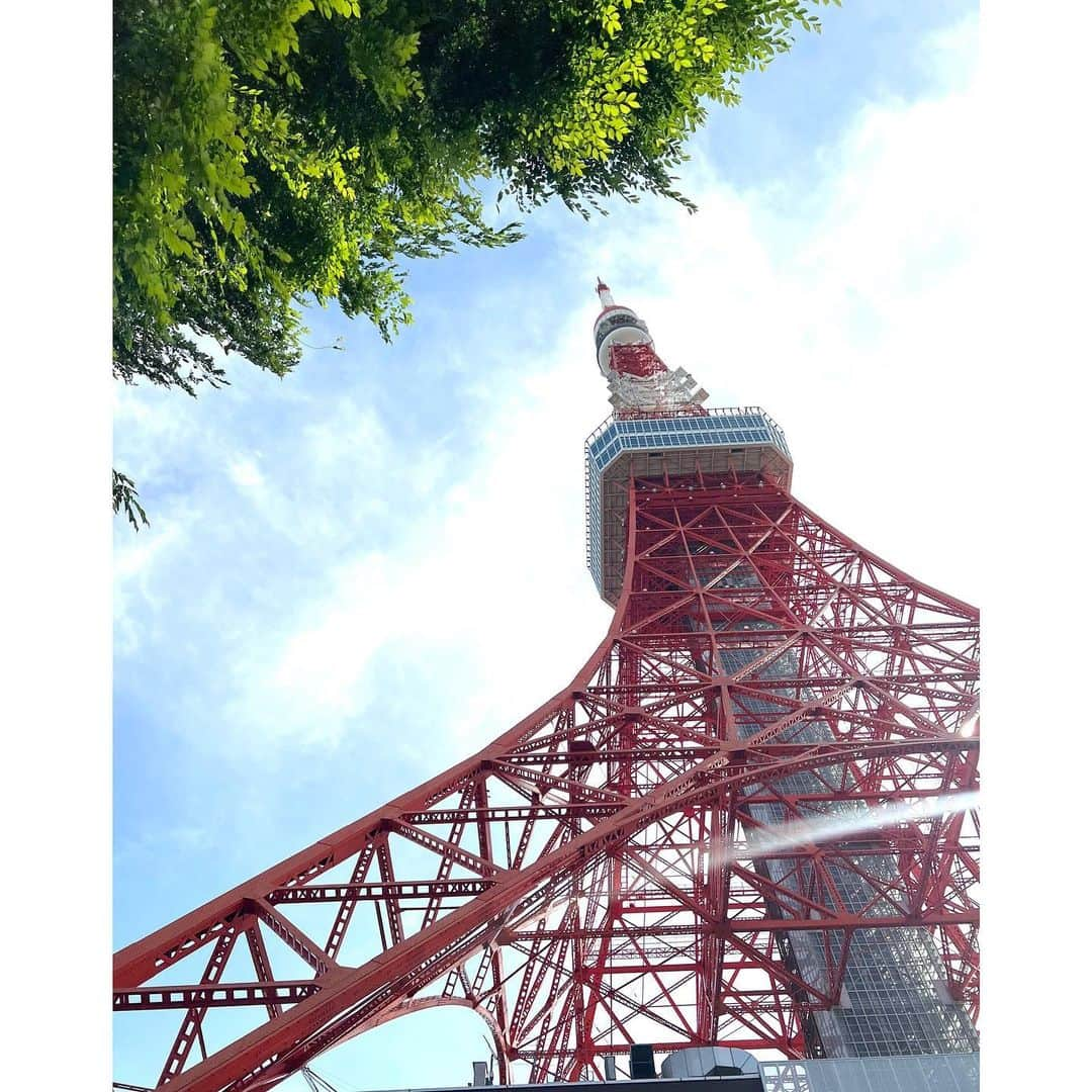 中野公美子さんのインスタグラム写真 - (中野公美子Instagram)「先日はあっちゃんとランチからの、 いいお天気だったので近所にあった愛宕神社へ⛩️ 鳥居の向こうには出世の階段という 壁みたいに急角度な階段に驚愕！😳 上に到達する頃には、太ももが痛く 降りる時は、転げ落ちそうな急角度で怖かった😂 無事にお参りをした後は、 東京タワーの鯉のぼりを観に行きました🗼🎏 沢山歩いてお天気も最高で楽しく 充実した一日となりました🥰  #愛宕神社 #出世の階段 #急角度すぎん？ #東京タワー #鯉のぼり #お散歩 #強風過ぎた日 #大阪パフォーマンスドール」5月5日 21時41分 - kumikorion