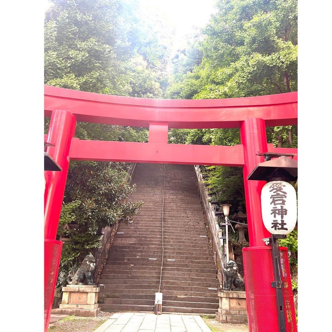 中野公美子さんのインスタグラム写真 - (中野公美子Instagram)「先日はあっちゃんとランチからの、 いいお天気だったので近所にあった愛宕神社へ⛩️ 鳥居の向こうには出世の階段という 壁みたいに急角度な階段に驚愕！😳 上に到達する頃には、太ももが痛く 降りる時は、転げ落ちそうな急角度で怖かった😂 無事にお参りをした後は、 東京タワーの鯉のぼりを観に行きました🗼🎏 沢山歩いてお天気も最高で楽しく 充実した一日となりました🥰  #愛宕神社 #出世の階段 #急角度すぎん？ #東京タワー #鯉のぼり #お散歩 #強風過ぎた日 #大阪パフォーマンスドール」5月5日 21時41分 - kumikorion