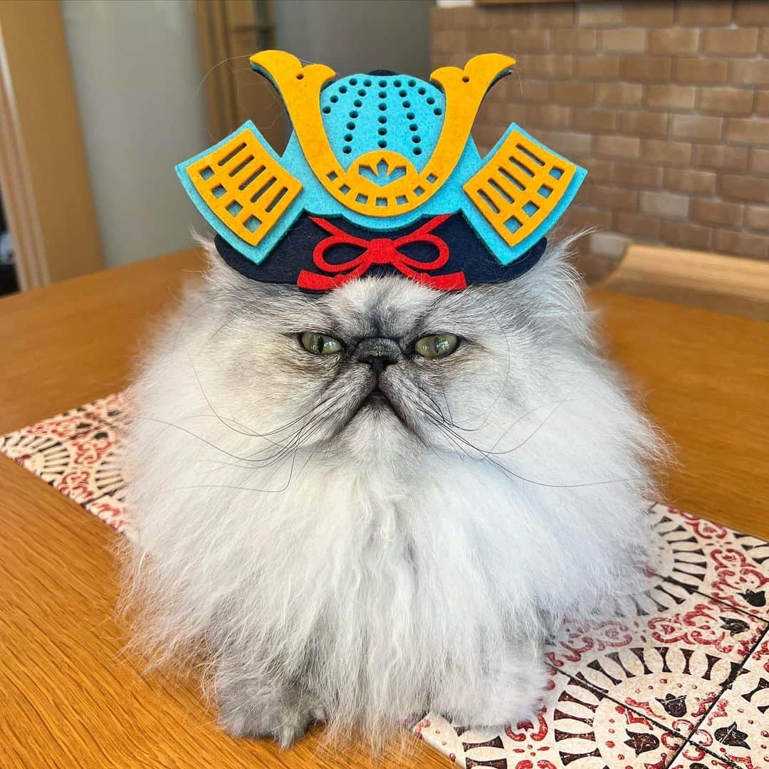 しるこさんのインスタグラム写真 - (しるこInstagram)「2023.5.5 #0505ちるちる  せっかく撮ったので😂  #こどもの日  ゴールデンウイークもそろそろおしまいですね ワタシは関係なく働いてましたがねw  今月もよろしくお願いします☺️」5月5日 21時58分 - shirukotan