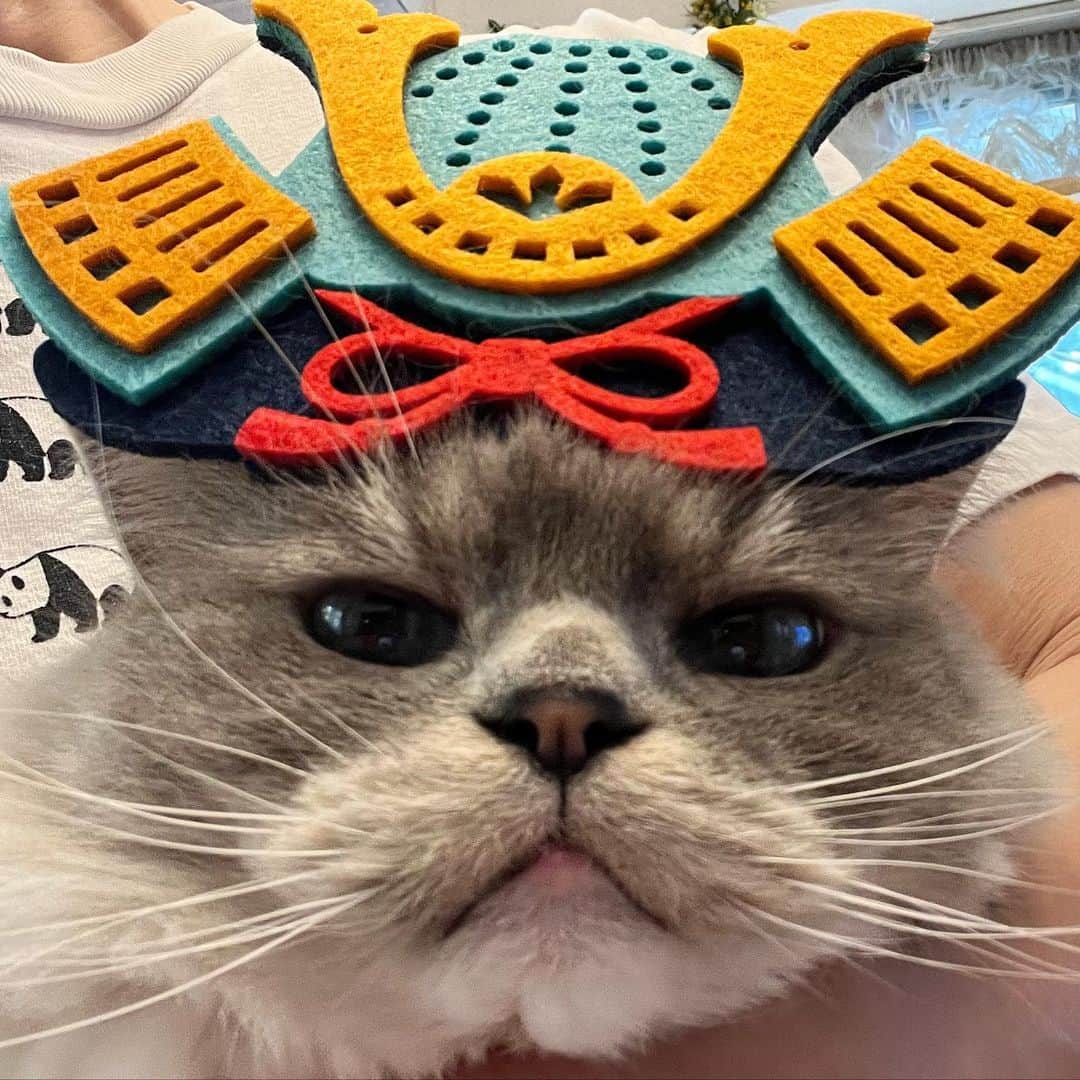 しるこのインスタグラム：「2023.5.5 #0505ちるちる  せっかく撮ったので😂  #こどもの日  ゴールデンウイークもそろそろおしまいですね ワタシは関係なく働いてましたがねw  今月もよろしくお願いします☺️」