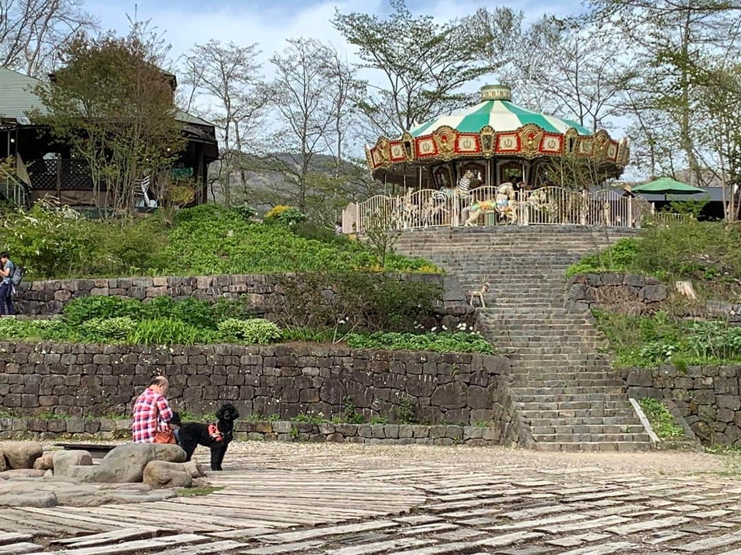 佐藤東弥のインスタグラム：「魔犬と俺」