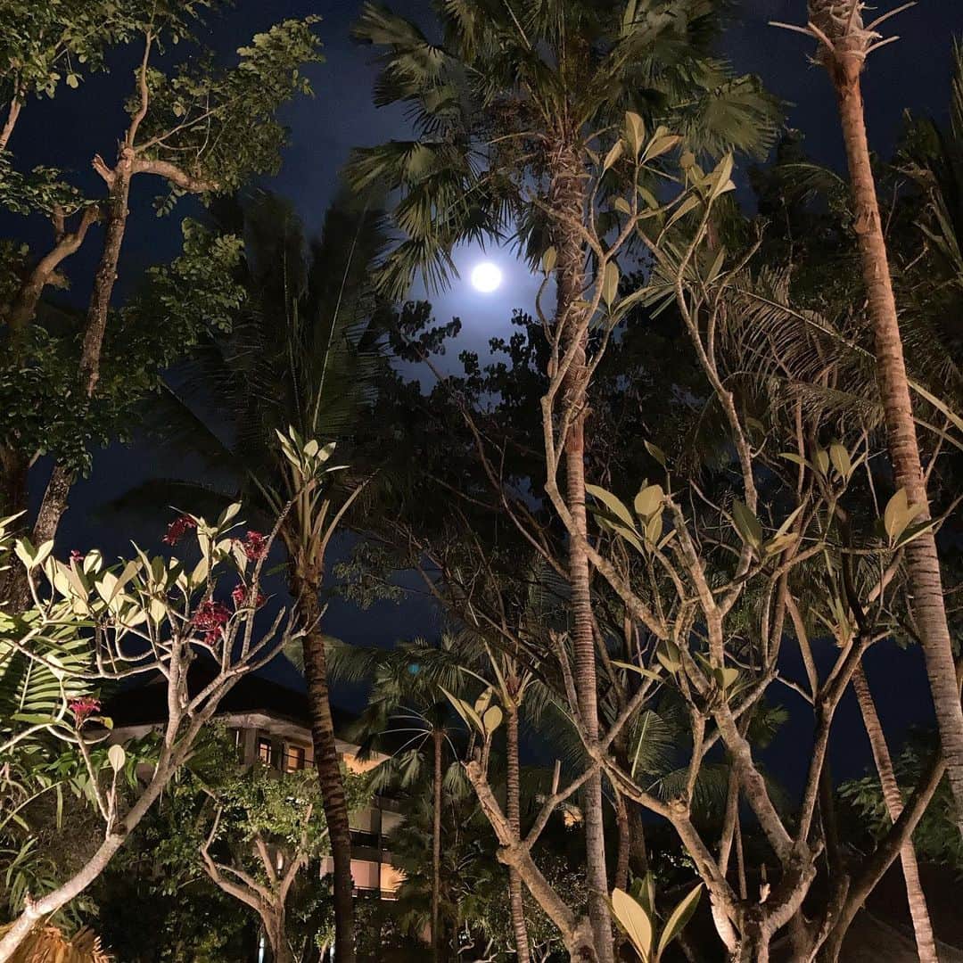 瓜生明希葉さんのインスタグラム写真 - (瓜生明希葉Instagram)「夜もまたよし。 こども達は初スモアに大興奮。  朝から家族で泳ぎ、夕方にはこってり。（でも30分で充電完了🥶）  覚悟はしていたけれど1歳4歳男子とのプール＆海はリラックス時間皆無です🤪だがこのそよ風は最高だ！  #smore #bonfire #moononthesea #昼寝しない」5月5日 22時33分 - akiha_uryu