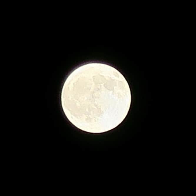 竹井亮介さんのインスタグラム写真 - (竹井亮介Instagram)「2023年5月5日。 フラワームーン。  日が変わった後に満月のタイミングを迎えるようですが、一応5月の満月、フラワームーン。 #お月さま #空」5月5日 22時31分 - takeiryosuke