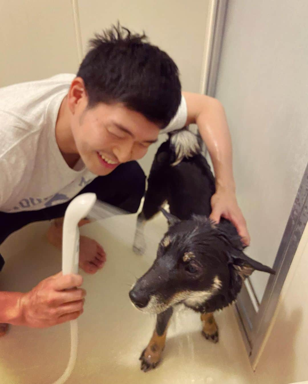 鈴木悠さんのインスタグラム写真 - (鈴木悠Instagram)「#ゴールデンウィーク にやりたかったこと、犬を洗う🐕 #完了 #GW #大型連休」5月5日 22時36分 - yu_suzuki.tenki