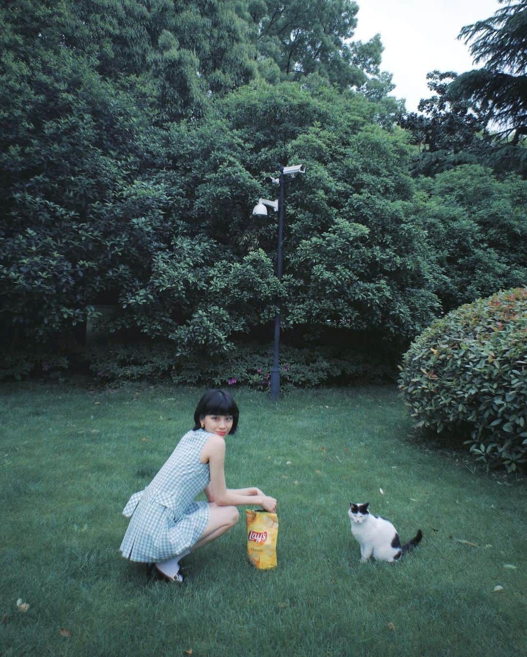 る鹿のインスタグラム：「Meow🐱💓✨」