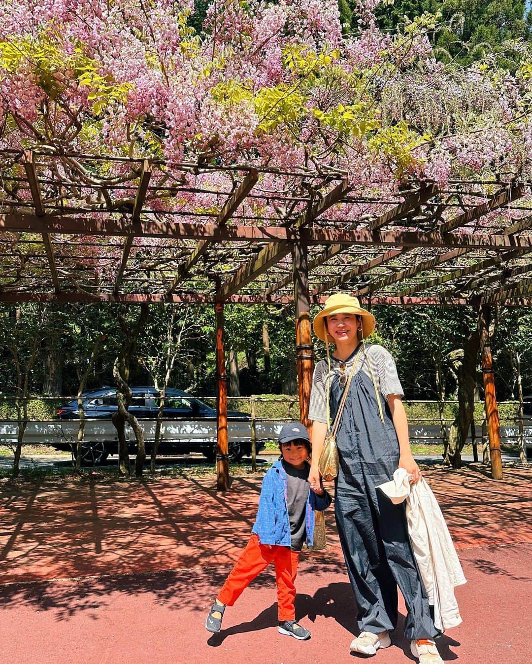 忍舞のインスタグラム：「GW 富士サファリパーク🦁  あったかくて気持ちよかったーー。」