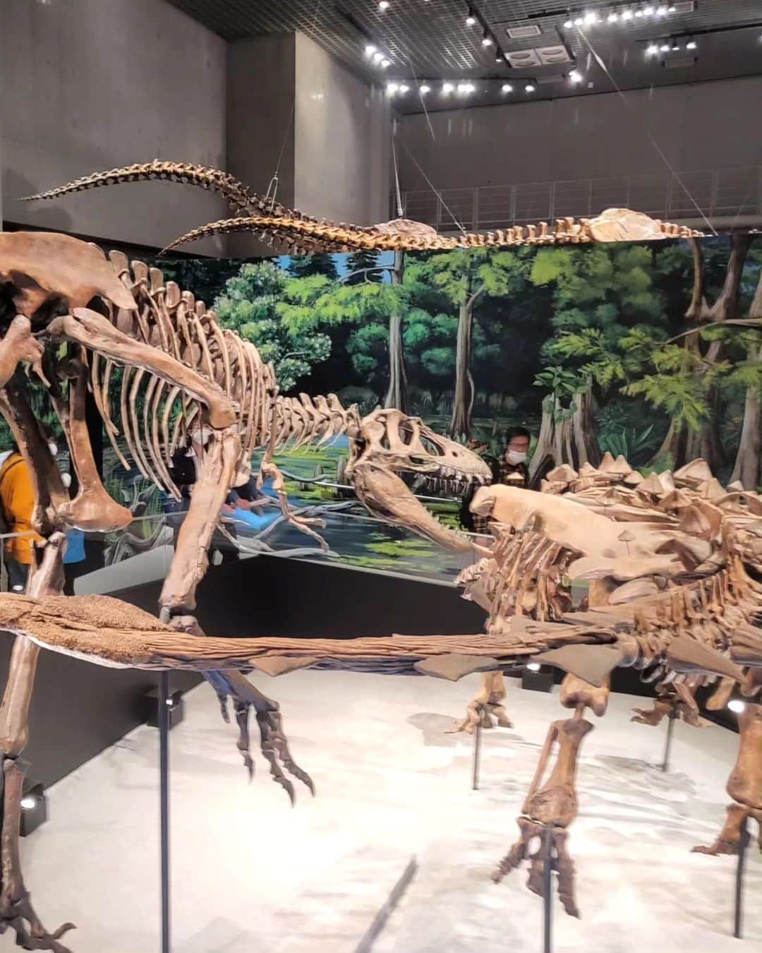 早川真生さんのインスタグラム写真 - (早川真生Instagram)「恐竜好きの私にはたまらん♡な⁡ ⁡ #恐竜展 行ったよ🦖🔥⁡ ⁡⁡ 去年の行けなくて、、今年は行けて良かった🥺⁡ ⁡⁡ ⁡⁡ ただただ大興奮...❤️‍🔥⁡ ⁡⁡ ⁡」5月5日 23時10分 - hayakawa_mai