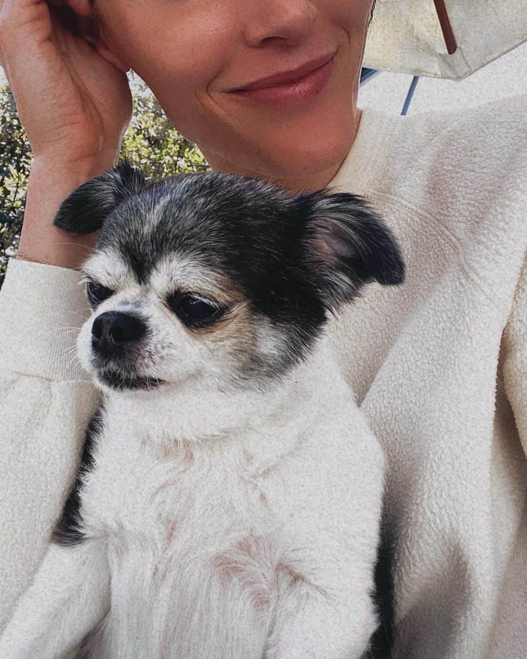 ヒラリー・ローダさんのインスタグラム写真 - (ヒラリー・ローダInstagram)「A real hodgepodge! 💞🍦🦋🌞🌸🤠」5月5日 23時10分 - hilaryrhoda