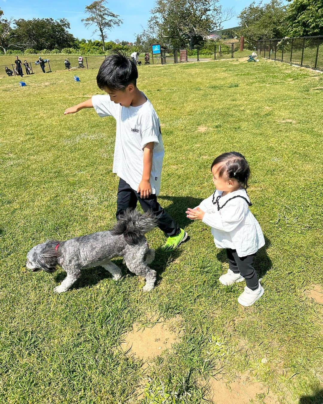 加藤怜のインスタグラム：「GW♡  マザー牧場は我が家には広すぎました🙃 下ふたりのベビーカーの取り合い... でも自然いっぱいで気持ちよかったな♡ gwにアクアラインには絶対のらないと 心に決めました🥲  うちで1番写真写りがいいのは 間違いなくロイです🐕‍🦺♡  #マザー牧場  #犬のいる暮らし  #アクアライン渋滞」