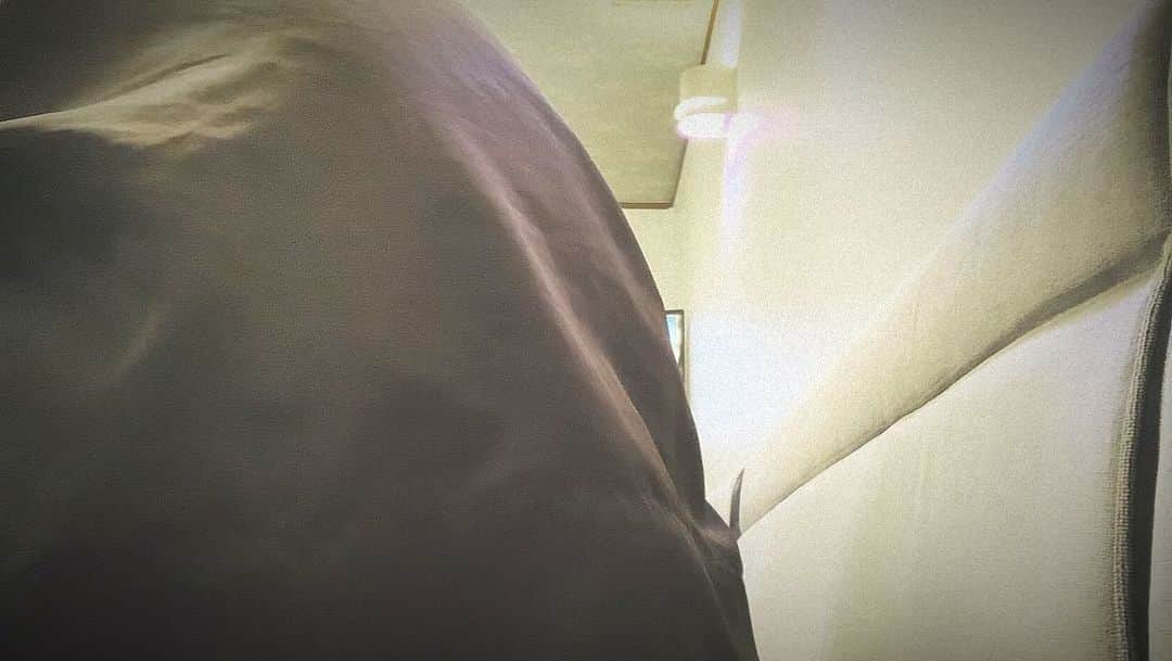 こーいちのインスタグラム：「こどもの日に家族で第ゼロ感。」