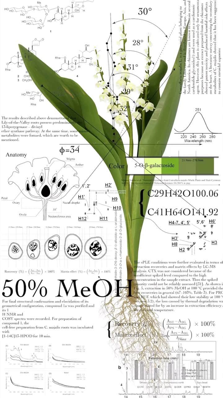 東信のインスタグラム：「New Anatomical chart  @azumamakoto_graphiccenter  @yamada_haruka_    This artwork is modern version of botanical portraits.  Along with vivid visuals created by shooting real flowers and turning them into 3D models, it provides detailed descriptions of plant morphology, internal cell structure, flowering physiology, pigments, aromatic components, and genetic information using chemical formulas and diagrams.  This is an attempt to remove the veil that plants wear, analyze them, and describe them in universal language.   There are countless diverse species of plants on Earth, and new species are still being discovered while cultivated varieties continue to be developed.  We humans try to understand them better by classifying and naming them. However, the appearance of flowers that we usually see is just superficial.  Looking at flowers through the filter of science allows us to see them from different perspective.   Life has the flexibility to constantly change due to the combination of predetermined genetic programs and environmental factors.  By breaking down the life activities of plants into molecular-level information, we are trying to reveal the essence of the beauty and vitality that plants possess, created by that exquisite balance. We want to understand more deeply about the beautiful pioneer, flowers.    この作品は、現代版の植物の肖像画です。 実物の花を撮影して3Dモデルに変換した鮮やかなビジュアルとともに、植物の形態、細胞の内部構造、開花生理、色素、香気成分、遺伝情報などを化学式や図式で詳述しています。 これは、植物が身にまとうベールを取り除き、分析し、普遍的な言葉で記述しようとする試みです。   地球上には数えきれないほど多様な植物種が存在し、今も新種が発見され続け、また栽培品種が生み出され続けています。 私たち人間はそれら植物を分類し、名前を付けることで、より理解しやすくしようとしています。 しかし、私たちが普段目にする花の姿は、表面的なものに過ぎません。 科学というフィルターを通して花を見ることで、また異なる視点で花を見ることができます。   生命は、遺伝子という予め定められたプログラムと、環境という変動要素との組み合わせによって、常に変化し続ける柔軟性を有しています。 植物の生命活動を分子レベルの情報まで分解することで、その精巧なバランスによって生み出された、植物が持つ美しさや生命力の本質をあぶり出そうとしています。 私たちは、花という美しい先駆者について、もっと深く解りたいのです。  #azumamakoto  #shiinokishunsuke  #amkk #azumamakotographiccenter #newanatomicalchart #現代版花解剖図 #東信 #東信花樹研究所」