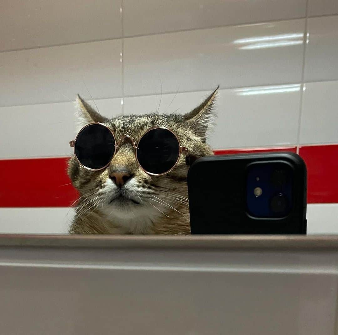 Aww Clubのインスタグラム