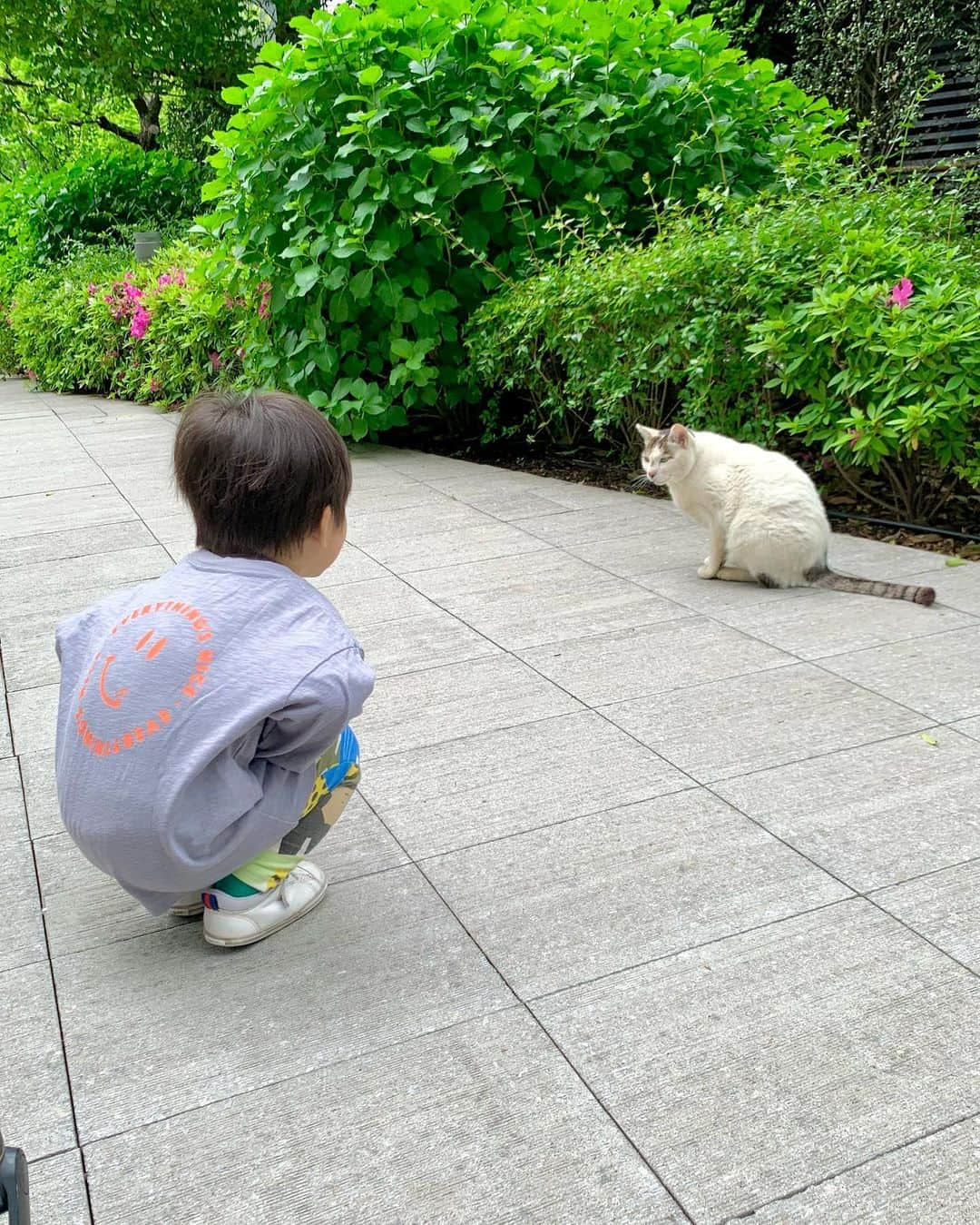 吉村優さんのインスタグラム写真 - (吉村優Instagram)「* 子供の日🎏 一日一日の成長が目に見えて 出来ることが沢山増えたボク👦🏻 写真で遡ると色んな思い出がありすぎて 一年の変化がもの凄いけど 一貫して食べることへの執着は変わらず🍓 生クリームのケーキを解禁したら よくケーキが食べたいといい 一緒に食べようとしても 私が食べる前にすでに一つ完食していたり🍰 お弁当持って公園へ行こうと準備していたら、 用意しておいたお弁当を勝手に広げて パジャマのまま家でつまみ食いしていたり🍙 ご飯を作っていたらキッチンに椅子持ってきて 作ったそばから味見味見と言って キッチンで完食したり🍳 これからの食事量が恐怖😅 オッサンみたいな行動や仕草に態度もよくあるけど まだまだ可愛い２歳児🫶 沢山食べて元気で健やかに逞しく 育ってくれますように🥰 * #こどもの日 #子供の日 #2歳」5月6日 0時22分 - yuyoshimura87