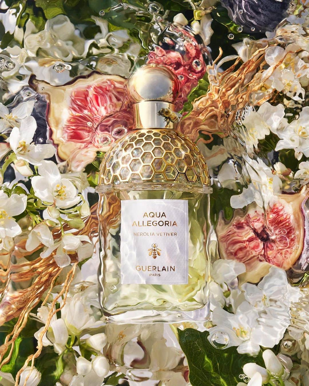 ゲランのインスタグラム：「Aqua Allegoria: the iconic collection that celebrates the wonders of nature. Luminous florals, sunny citruses and vibrant, juicy fruity-florals: embark on a sunkissed journey into the Guerlain Perfumers' summer garden.  #Guerlain #GuerlainParfumeur #AquaAllegoria」