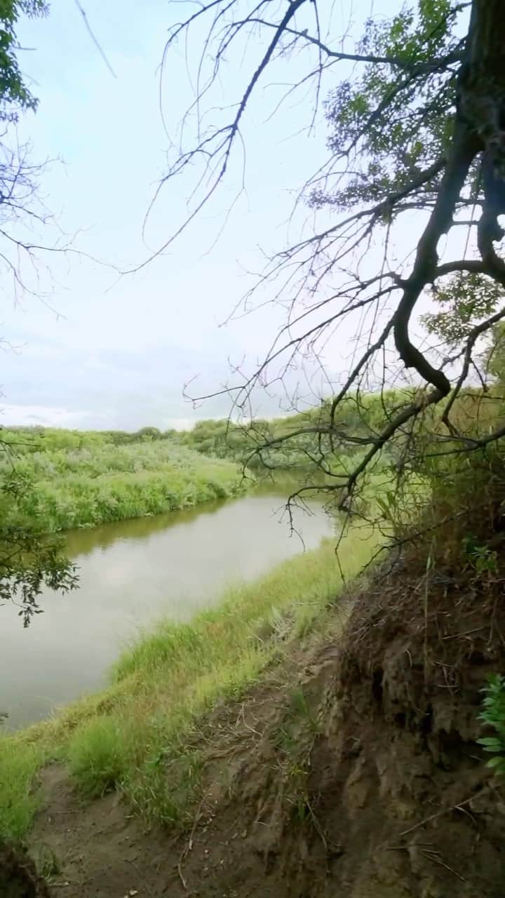 Explore Canadaのインスタグラム：「Did you know that Saskatchewan has over 80 regional parks located throughout the province?   Saskatchewan’s regional parks showcase wilderness, recreation, nature and history, and offer access to your favourite summer activities: swimming, boating, hiking, golfing and much more.   Take a look at these five must-see regional parks to visit this summer!   📷: @tourismsask 📍: @tourismsask   #ExploreSask   [Video description: A compilation of clips showcasing regional parks in Saskatchewan including plains, forests, lakes, rivers and campgrounds. Text on screen reads: 5 Must-See Regional Parks in Saskatchewan. Pine Cree. Memorial Lake. Hudson Bay. Woodlawn. Eagle Creek.]」