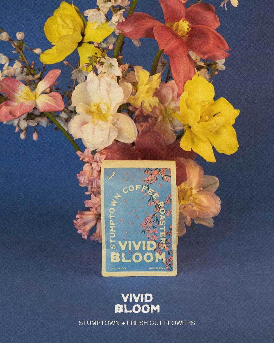 Stumptown Coffee Roastersのインスタグラム：「🌸 VIVID BLOOM 🌸  A spring-worthy blend of exquisite, floral-forward coffees from the Huye district of Rwanda and the Tolima region of Colombia. One sip is sure to take you on a beautiful, botanic coffee ride.  BONUS: Stumptown will donate a portion of all 12oz bag sales to support local bee & pollination organizations. 🐝💕」