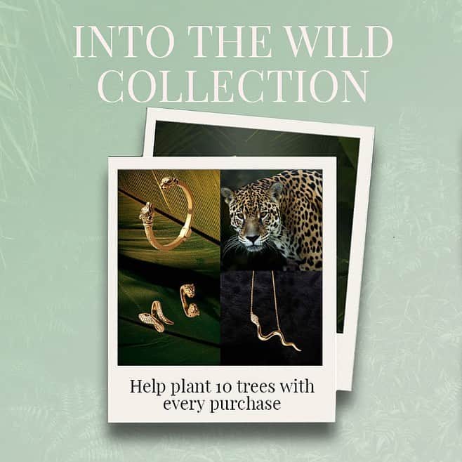 ナイアラヤのインスタグラム：「The degradation and loss of forests threaten the survival of many species. Through deforestation, humans have destroyed and fragmented the habitats of panthers, tigers, jaguars, and leopards. Each piece sold from our Into the Wild Men’s Collection plants 10 trees and is estimated to remove 125 kg (275.5 lbs) of CO₂ annually. Learn more about our Reforestation Initiatives with Eden Reforestation Projects. Nature inspires and never goes out of style - tap into the wild with these animal-inspired rings, bangles, and necklaces to embrace your inner animal spirit.」