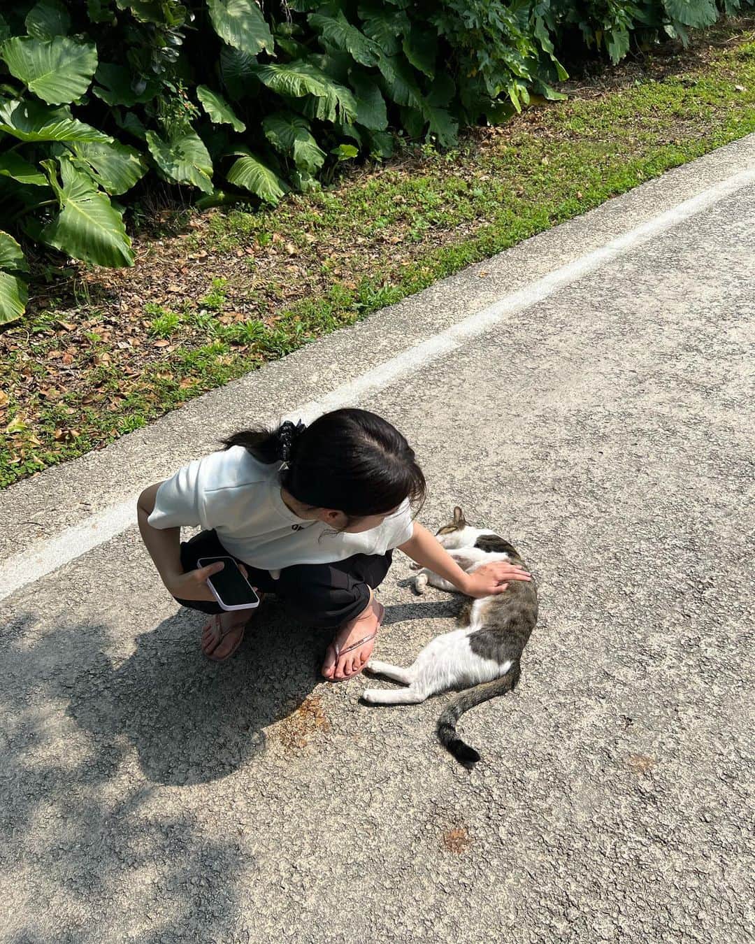 リサのインスタグラム：「石垣島楽しかったな〜🐒🏝」