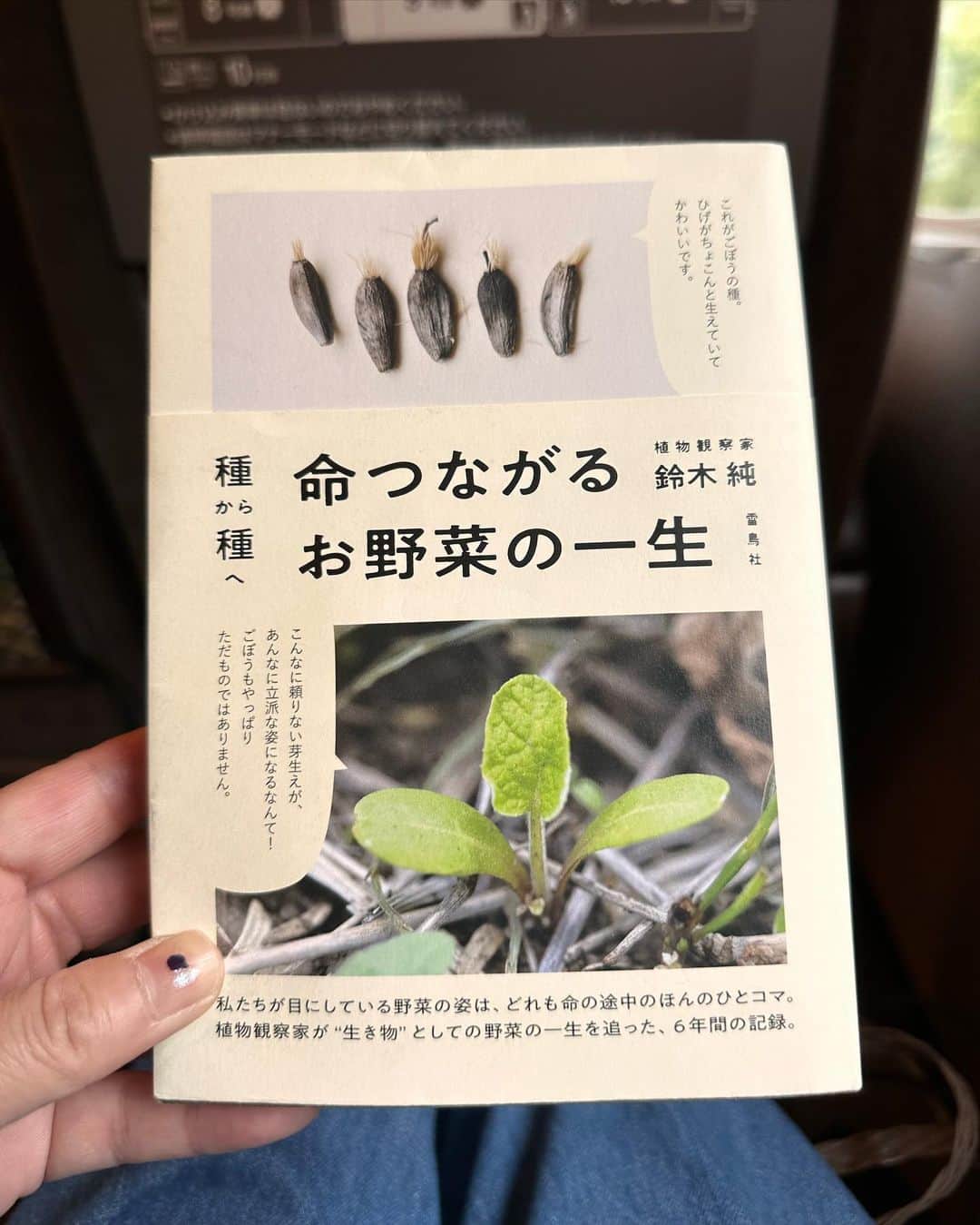 加藤紀子のインスタグラム：「知ってるつもりだった野菜のこと ページをめくるたびに 発見の連続でゾワゾウとしたワクワクが次々に（楽しすぎる）。  調理して食べたらあっという間なんだけど、そこに至るまでにも触れながら育てられたら、美味しさ倍増になるはず😊 本文も表紙裏にも情報たくさん  野菜野菜（時に豆腐）、 まだまだ勉強がいっぱいで嬉しいー✨ （いつか著者の方にもお会い出来たらなぁ）  #いのちつながるお野菜の一生 #カトノリ農園 #畑からこんにちは」