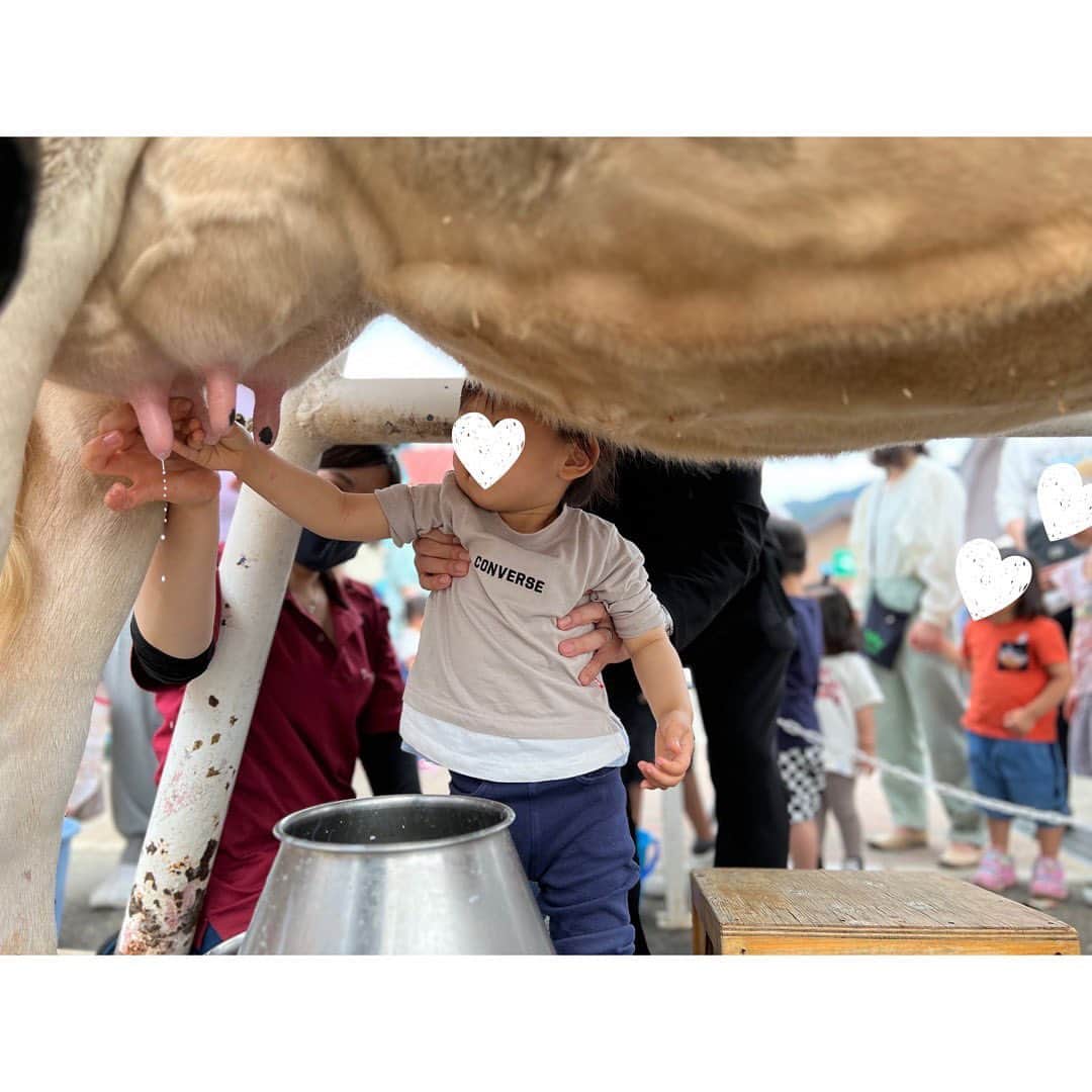 伊藤弘美さんのインスタグラム写真 - (伊藤弘美Instagram)「☺︎ ⁡ 大阪のじいじばあばとワールド牧場へ！ ⁡ 動物大好きな息子、 いろんな動物たちを近くでじっくり見たり👀　 優しくタッチしてみたり…🐏🐖🐐✨ ⁡ 乳搾り体験もできました🥛✨ 牛さんありがとう〜🤍 ⁡ ⁡ ⁡ #GW #家族でお出かけ　#ワールド牧場　#大阪  #女の子ベビー　#女の子ママ　#男の子ママ　 #育児　ほぼ#2歳歳差育児」5月6日 14時33分 - hiromi_ito831