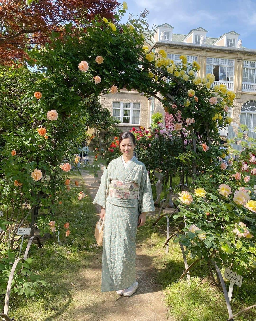 小柳津真由美のインスタグラム：「鳩山会館の薔薇が見頃🌹  めっちゃ綺麗です♪  #鳩山会館 #薔薇の洋館 #薔薇 #薔薇が見頃 #着物 #kimono #着物でお出かけ  #着物好きな人と繋がりたい  #着物好き #薔薇が好き #薔薇の季節 #小柳津真由美」