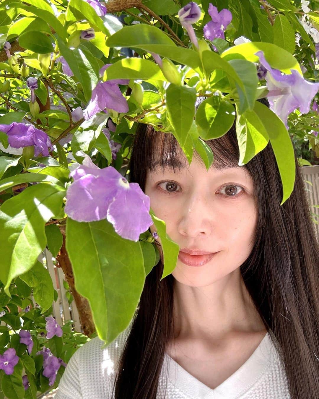 理絵のインスタグラム：「花の名前に詳しくないのですが...良い香りに癒されました💜  #flowers #flower #fiore #花 #꽃 #元宝塚 #元宝塚歌劇団  #宝塚og」