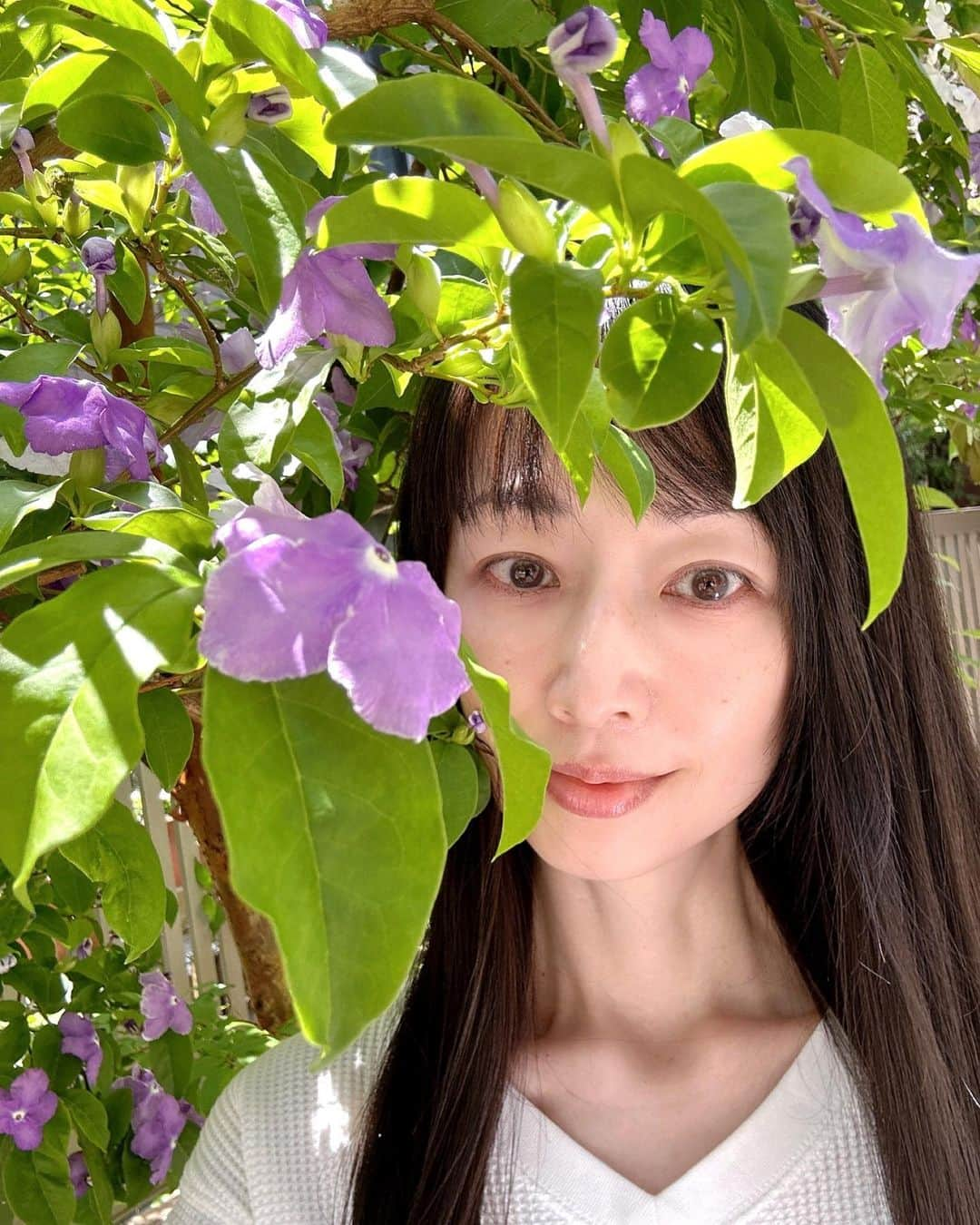 理絵さんのインスタグラム写真 - (理絵Instagram)「花の名前に詳しくないのですが...良い香りに癒されました💜  #flowers #flower #fiore #花 #꽃 #元宝塚 #元宝塚歌劇団  #宝塚og」5月6日 9時00分 - ____rie____