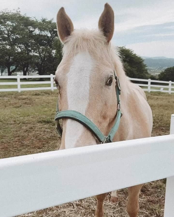 紗栄子のグルメインスタ