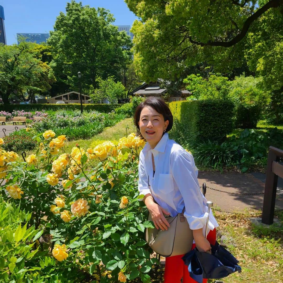 床嶋佳子さんのインスタグラム写真 - (床嶋佳子Instagram)「おはようございます！  昨日は日比谷公園に行きました‼️ 湿気の多い日本において一年の中で一番爽やかな季節🌿💕気持ちが良かったです‼️」5月6日 9時55分 - yoshiko.tokoshima